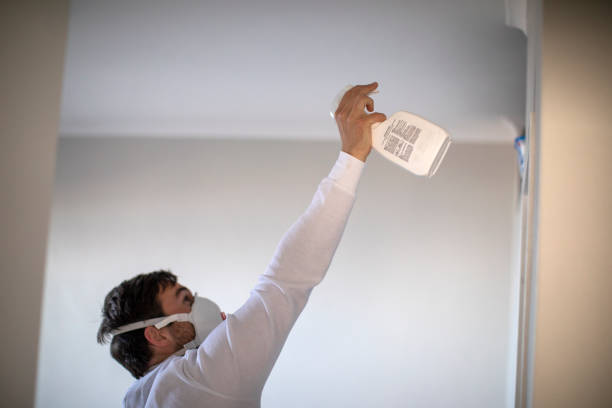 Best Local Mold Removal Service  in Booker, TX