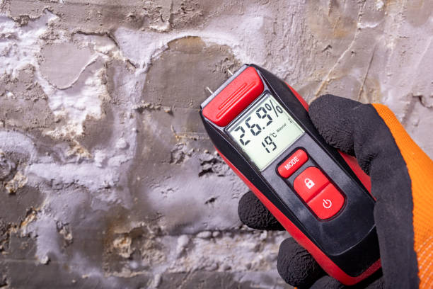 Trusted Booker, TX Mold Removal Experts