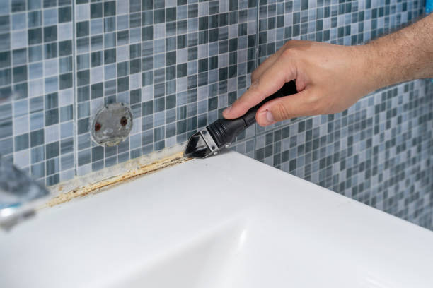 Best Mold Removal Near Me  in Booker, TX