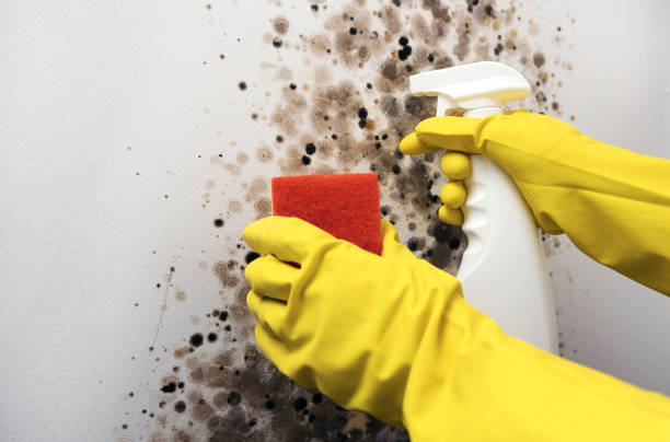 Best Water Damage Restoration  in Booker, TX